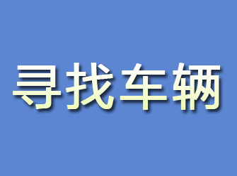 滨海新区寻找车辆